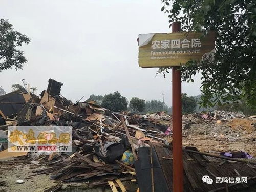 生态农庄终成瓦砾 南宁武鸣生力军农庄拆除事件透视